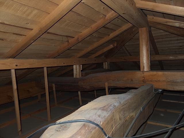 天井裏の雨漏り調査